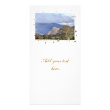 WILD WALES PHOTO CARDS