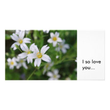 Wild woodland flowers, I so loveyou... Customized Photo Card