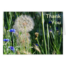Wildflowers and Puffball, Thank You Greeting Cards