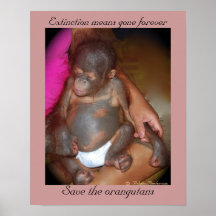Wildlife Babies: Save the orphans Print