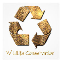 Wildlife Conservation Invitation