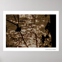 Willamette Stars Print