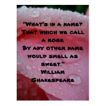 William Shakespeare Rose Quote Pink Postcard