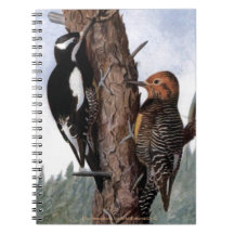 "Williamson's Sapsucker's" Spiral Notebooks