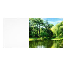 Willow By the Lake Picture Card