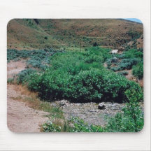 Willow Riparian Habitat in Idaho Mousepads
