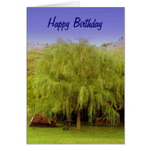 Willow Tree, La Grande Oregon, Birthday Cards
