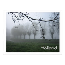 Willows in the fog postcards