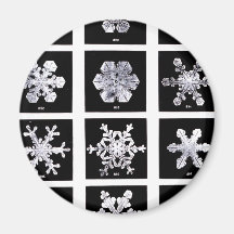 Wilson Bentley Snowflakes Refrigerator Magnet