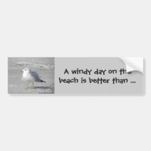 Windblown seagull bumper sticker