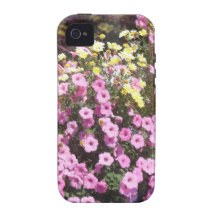 Window Boxes Case-Mate iPhone 4 Cover