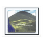 Windswept Post Card