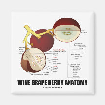 Wine Grape Berry Anatomy (Scientific Diagram) Fridge Magnet