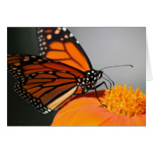 wings of royalty greeting card