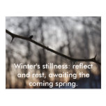 Winter.2009.031, Winter's stillness: reflect an... Postcards