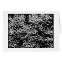 'Winter Abstract' Holiday Card - Christmas