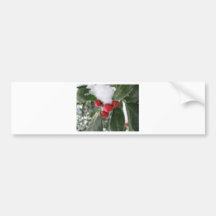 winter and red fruits bumper sticker