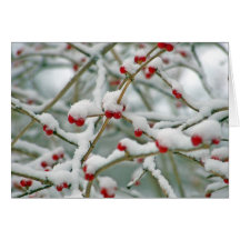 Winter Berries Greeting Cards