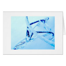 Winter Bike Cards
