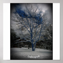 Winter Blue Print