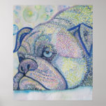winter bulldog poster