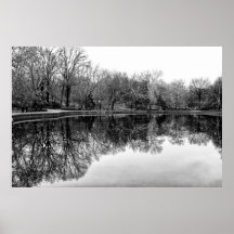 Winter Central Park, NYC Landscape Print