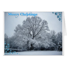 Winter Christmas Cards