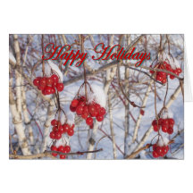 Winter Colours Greeting Card