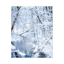 winter creek stretched canvas print