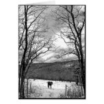 Winter Day Greeting Cards