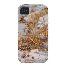 Winter Grass iPhone 4/4S Case