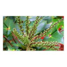 Winter Greenery Business Cards