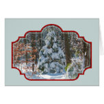 Winter Holiday Greeting Cards | Evergreen Tree cards
