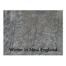 Winter in New England Postcard