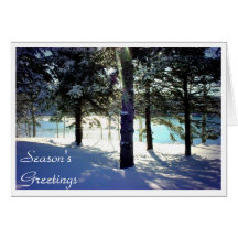 Winter in Sullivan, Maine Cards