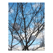 winter photographic print