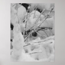 winter poster