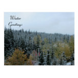 Winter Scene at Whistler, B.C. Postcards