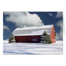 Winter Scene Greeting Cards