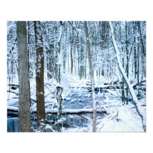 winter scene photograph