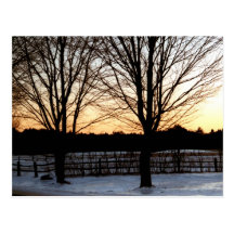 Winter Silhouette Post Card