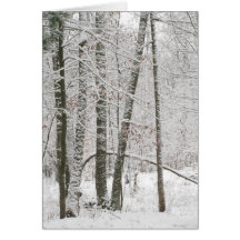 Winter Solace Card