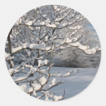 Winter Storm Round Stickers