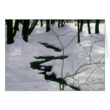 Winter Stream Cards
