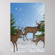 Winter Wild Nature Deers Art Print Poster