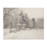 Winter Wonderland - Central Park Canvas Prints