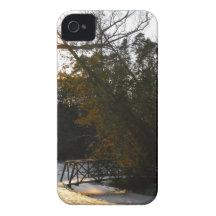 Winters Beauty iPhone 4 Cases