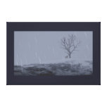 Winter's Chill Canvas Print