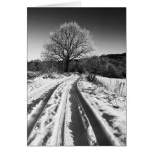 Winters Day Greeting Card