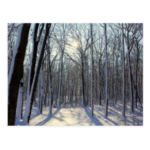 Winters Light Postcards